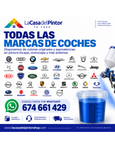 Spray Bicapa Color de Marca... 2
