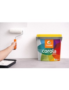 Pintura plástica blanca... 2